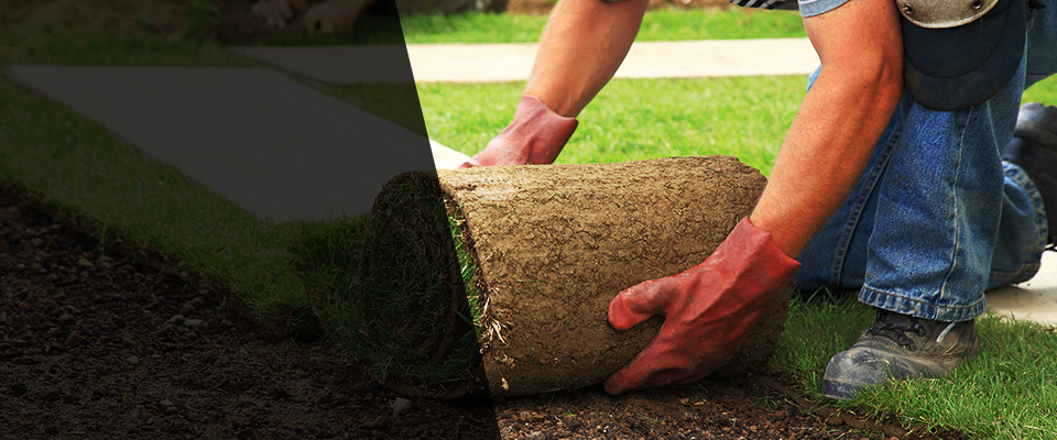 Bay Minette Landscapers